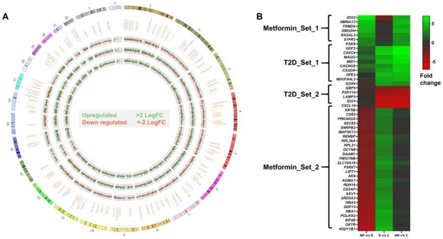 Differentially expressed genes in the study population