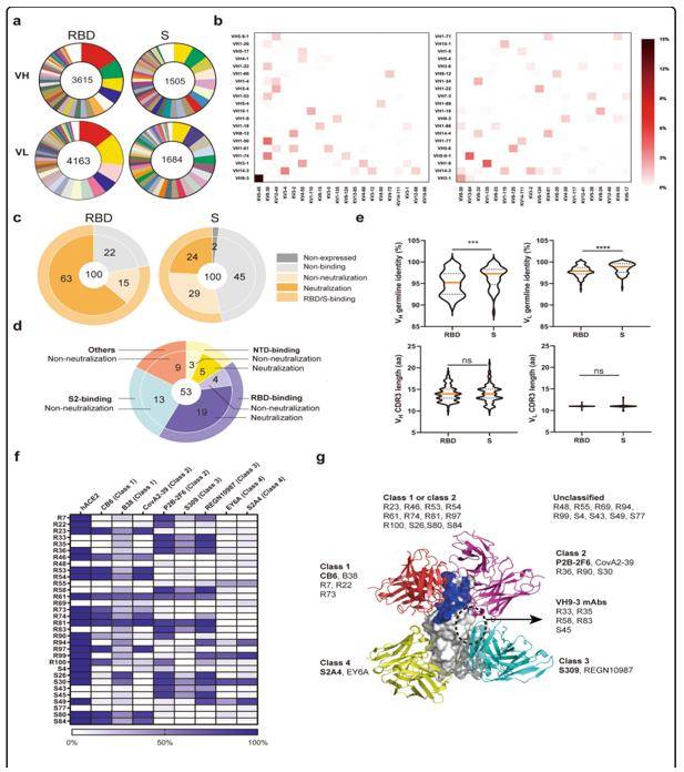 Immune Repertoire Sequencing Accelerates Vaccine Development