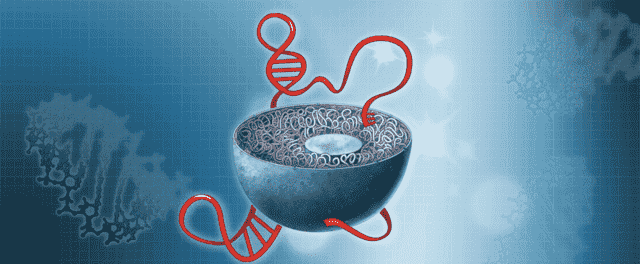 LncRNAs and Their Disease-Specific Applications