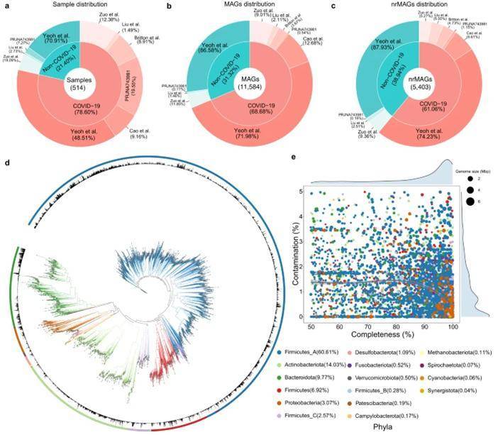 Metagenome Sequencing Reveal Changes in Intestinal Flora in COVID-19 Infections