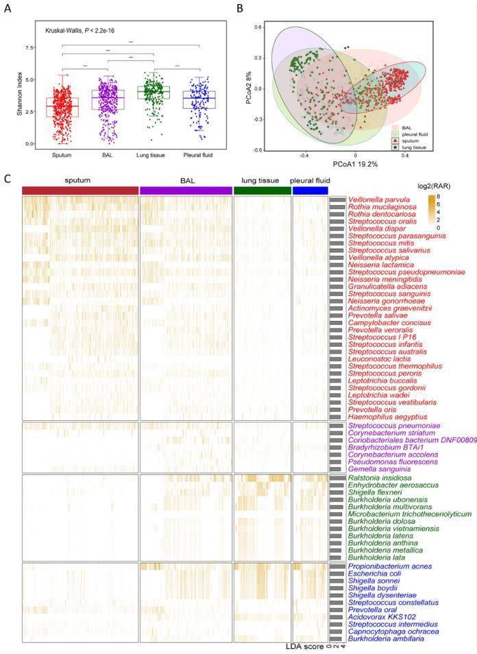 Distribution of respiratory tract flora of mNGS in different sample types