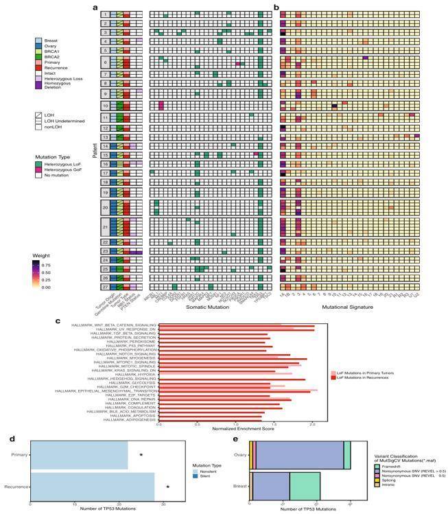 Integrated analysis of somatic mutations by whole-exome and targeted sequencing