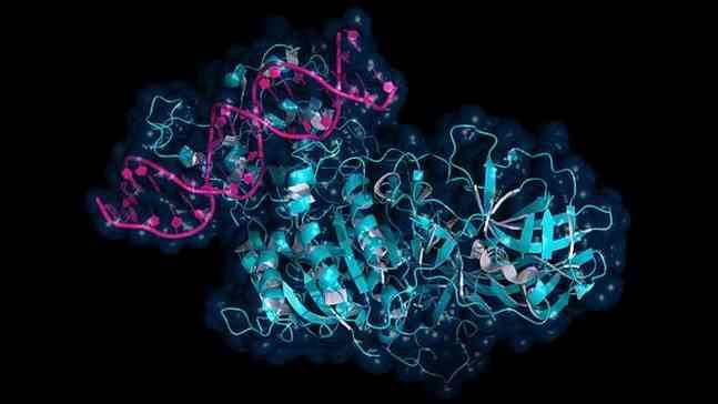 Overview of Methylated DNA Immunoprecipitation Sequencing (MeDIP-seq)