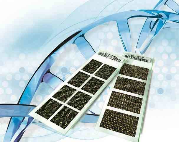 The Principles and Workflow of SNP Microarray