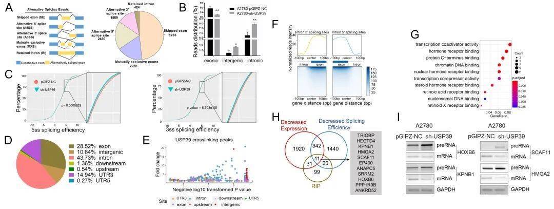 Identification of USP39-regulated splicing events by RNA-seq and RIP-seq