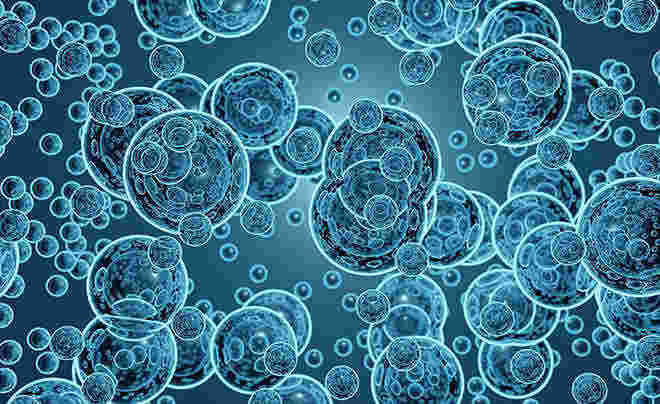 Exosome Isolation to miRNA Extraction Protocol