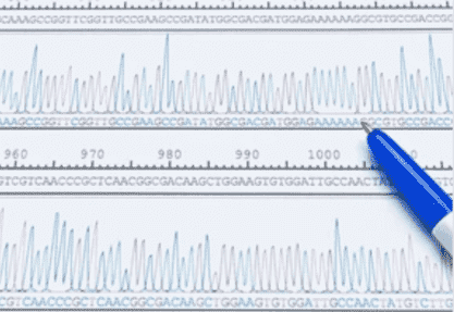 Sanger Sequencing: Introduction, Workflow, and Applications