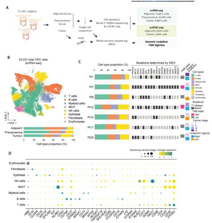 Single-cell RNA Sequencing Enables Tumor Research