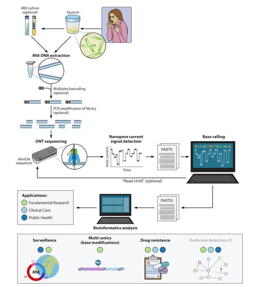 The Mycobacterium tuberculosis sequencing approach using Oxford Nanopore Technologies sequencing platform