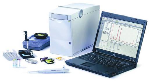 The Applications of SNP Microarray