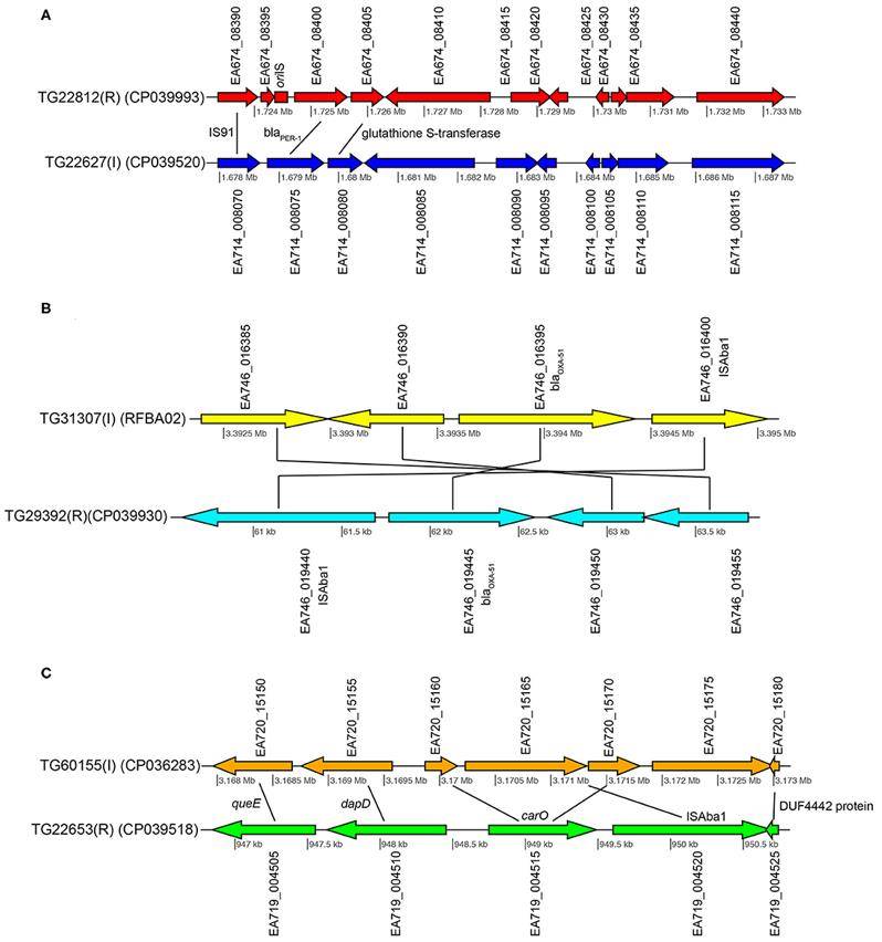 Transcriptomic Sequencing Advances Microbiomics Research