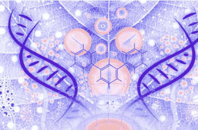 Bisulfite Genomic Sequencing (BSP-Seq) - Methylation Identification for ssDNA and dsDNA