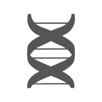 mtDNA Sequencing