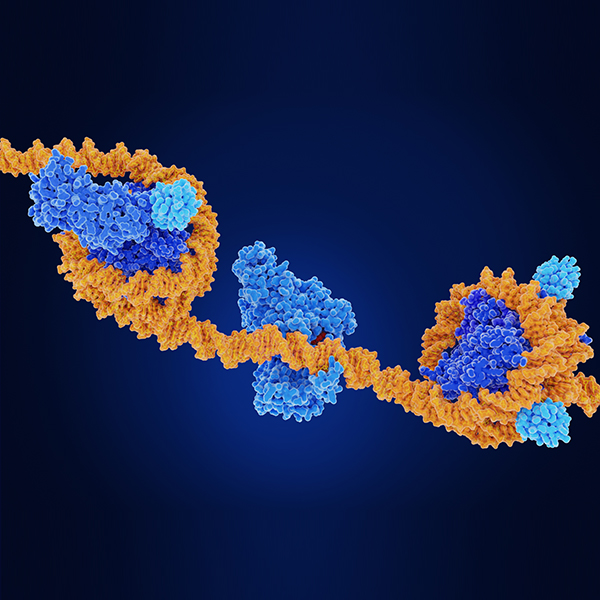 Epigenomics Sequencing