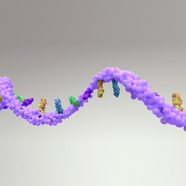 RNA Sequencing