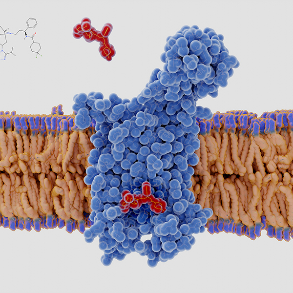 TCR-Sequencing