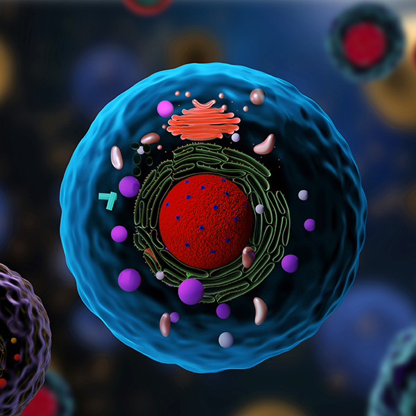 Single-Cell Sequencing