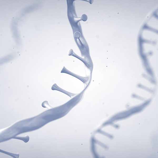 SNP Genotyping