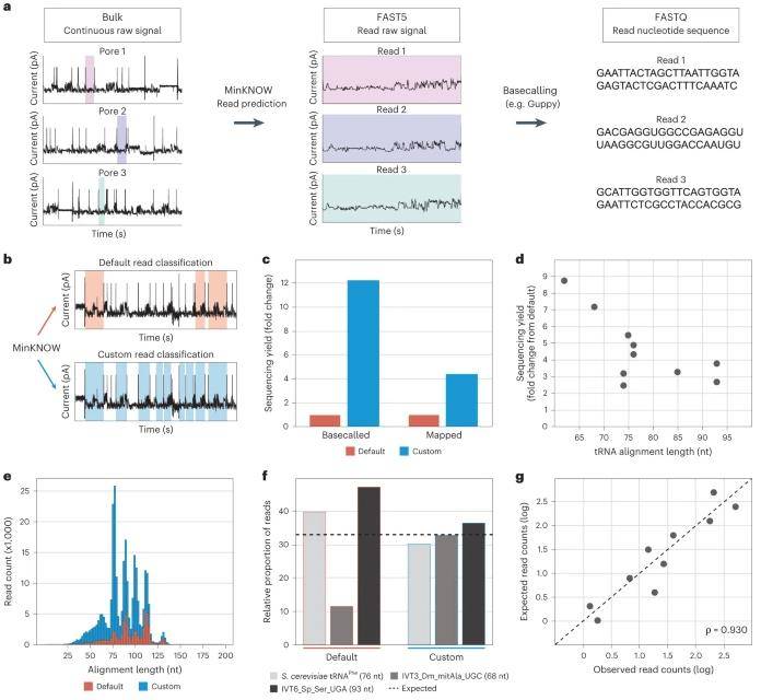 Adjustment of MinKNOW parameters increases the number of sequenced and mapped tRNA reads. (Lucas et al., 2023)