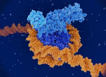 Overview of DNA Methylation Capture Sequencing