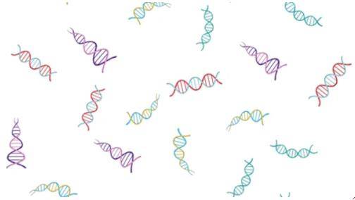 Overview of Tandem Repeats