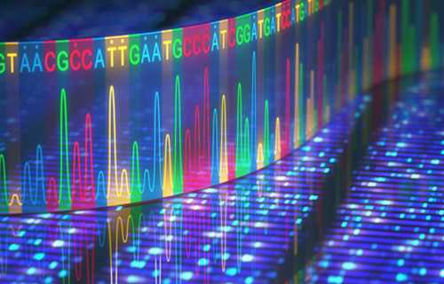 CGH Microarray Service