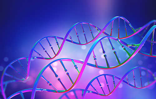 Metagenomic Shotgun Sequencing