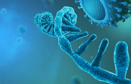 MassARRAY SNP Genotyping