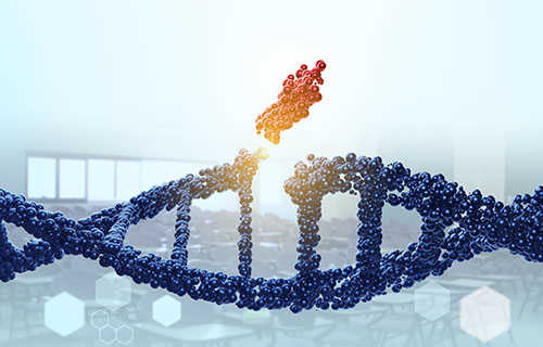 MassARRAY SNP Genotyping