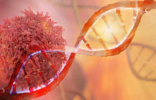 Metagenomic Shotgun Sequencing