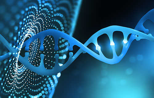 DNA Methylation Microarray Service