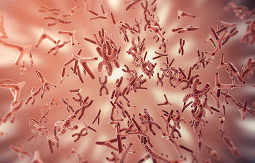 Sanger Sequencing