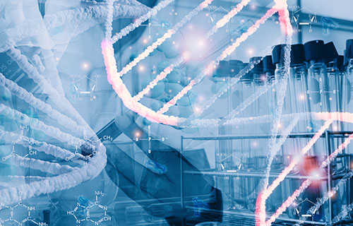 Metagenomic Shotgun Sequencing