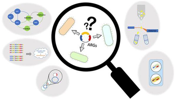 Antibiotic resistance genes (ARGs) detection. (Rice et al., 2020)