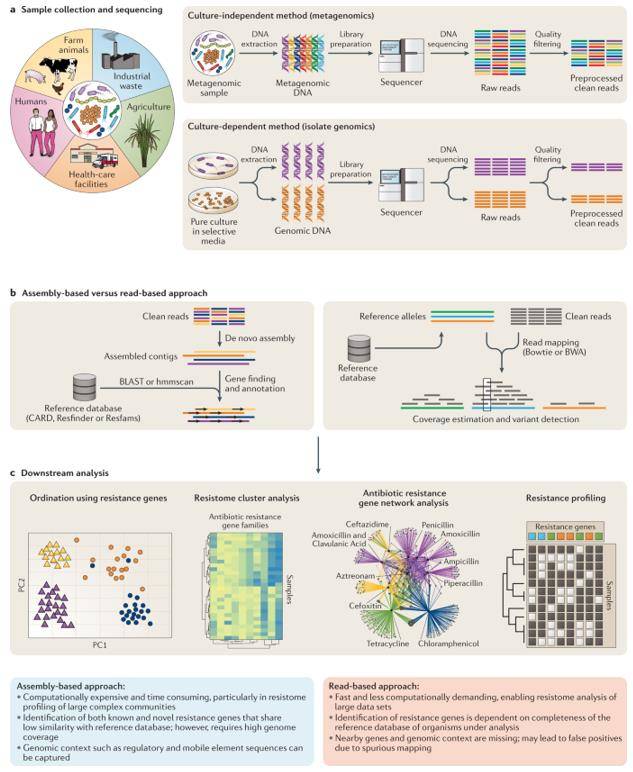 Assembly versus read mapping. (Boolchandani et al., 2019)