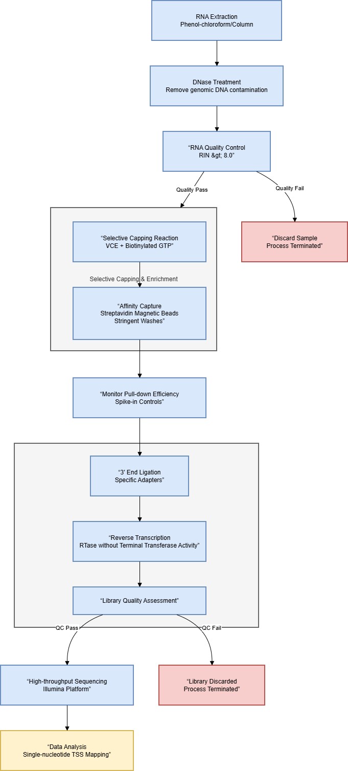 Figure 3. Cappable-Seq experimental workflow including RNA extraction, selective 5′-triphosphate labeling, biotin-streptavidin enrichment, and Illumina library preparation.