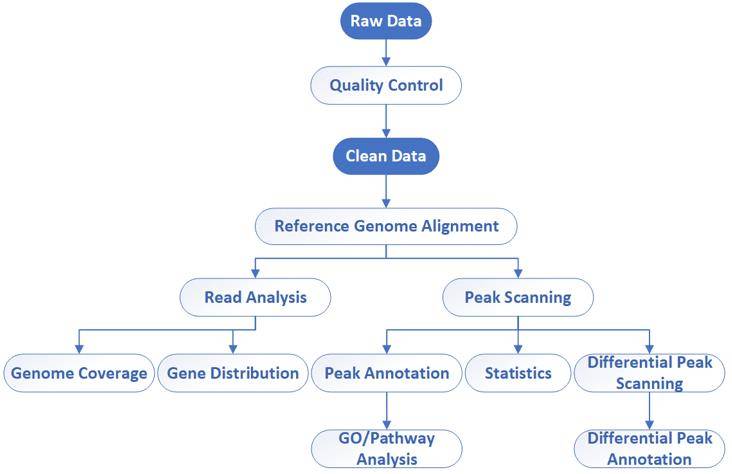 Bioinformatics workflow of DAP-Seq – CD Genomics