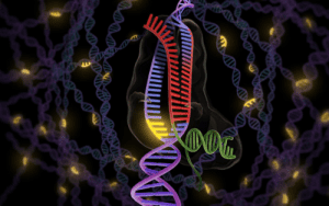 Arguments about CRISPR technology: A Revolution of Science