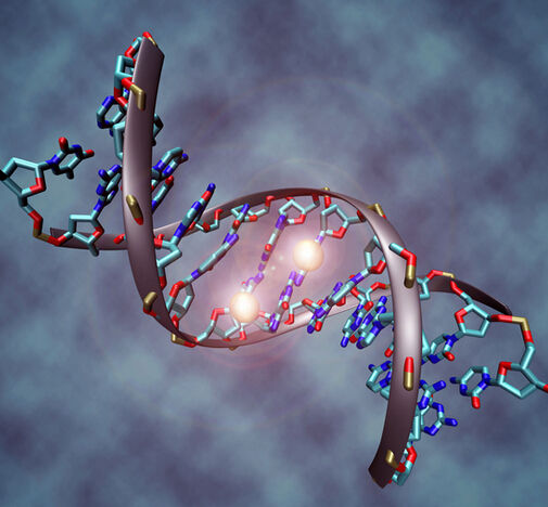 A Brief Introduction on DNA Methylation and Methods of Detection