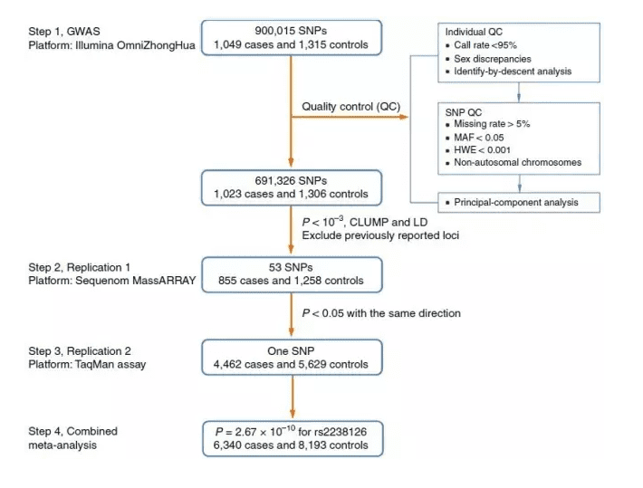 Discovery of Susceptibility Gene ETV6 and Its Common Genetic Variants in the New Colorectal Cancer