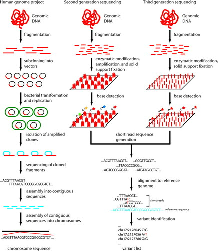 Figure 2. Three generations of human genome sequencing technology.