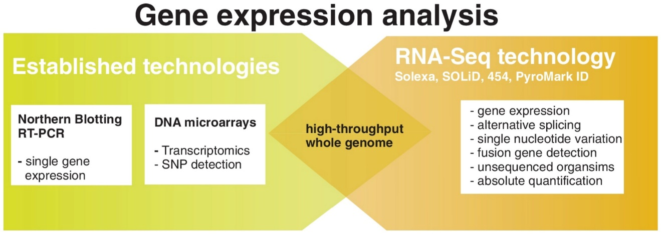 Figure 3. Transcriptome analysis using next-generation sequencing.