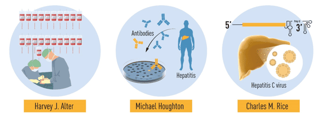 Summary of the discoveries awarded by this year's Nobel prize