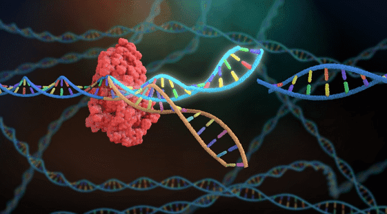 CRISPR Screen Sequencing, Innovating Sequencing Technology that Can Facilitate COVID-19 Research