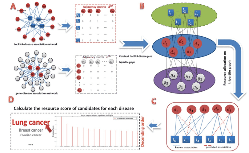 The screening of lncRNA candidates that are involved with lung cancer. 