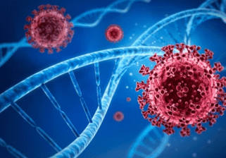 The Applications and Methods of Next-Generation Sequencing of SARS-CoV-2 on COVID-19 Research