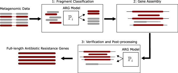 Functional Metagenomics for New Antibiotic Resistance Genes Research