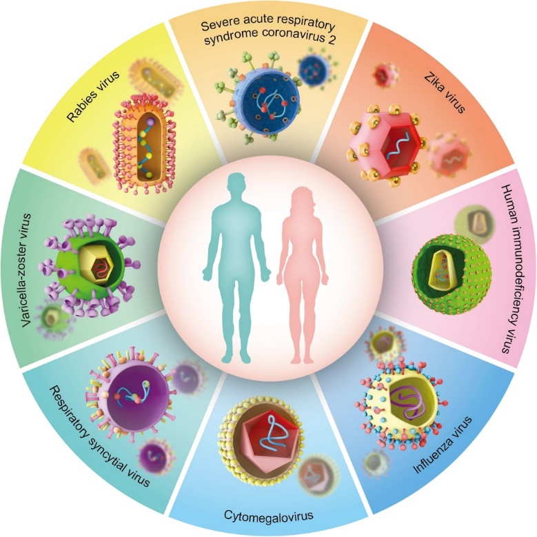 Figure 3. Landscape of mRNA vaccines in infectious diseases. (Zhang et al., 2023)